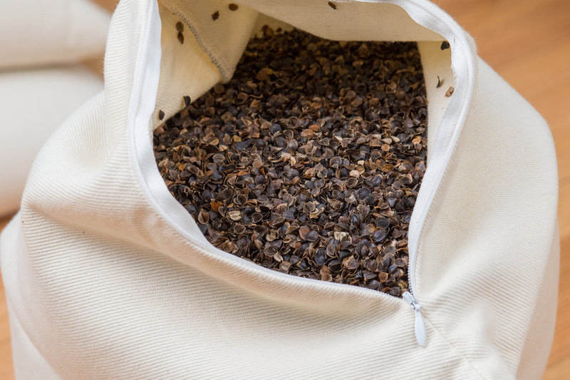 Buckwheat Pillow in Missouri