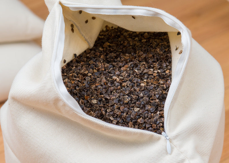 Buckwheat Pillow in Oregon