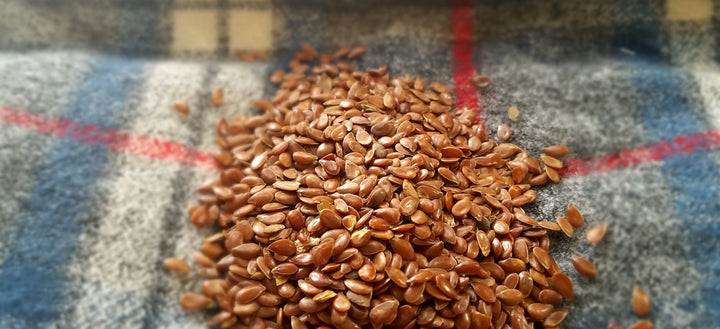 What is flaxseed?