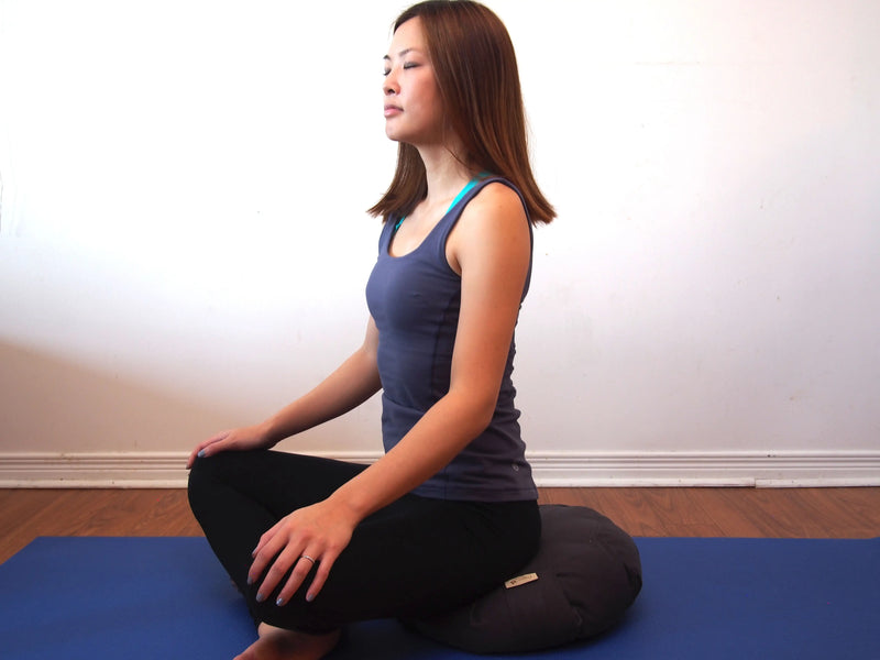 Yoga Cushion in Wisconsin