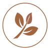 Eco-Friendly Materials